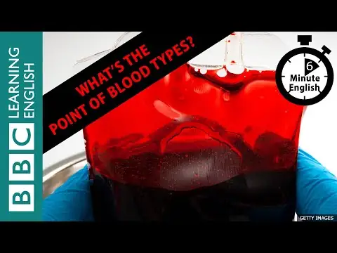What’s the point of blood types? 6 Minute English