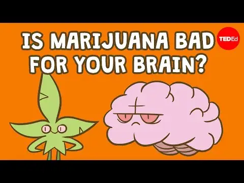Is marijuana bad for your brain? - Anees Bahji