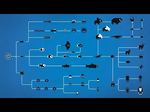 How Evolution works